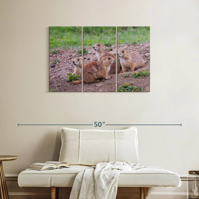Brampt Forest Brampt Nursery, 24" H x 38" W