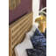 Quinnton Solid Wood Bed