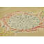 One-of-a-Kind 4'1x8'6 Area Rug