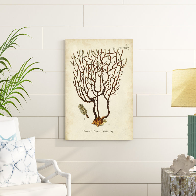 " Esper Sea Fans II " by Johann Esper, 36" H x 24" W