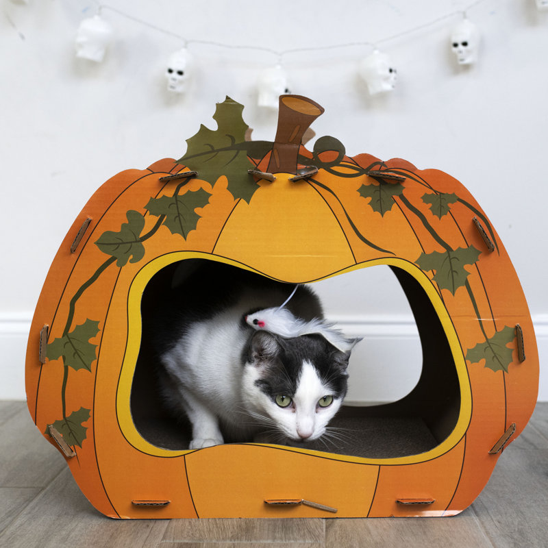 Bobbie-Joe 18'' H Cat Tree