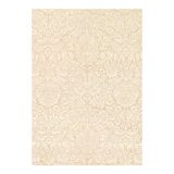 Floral Area Rug in Ivory