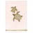 4 Piece 100% Turkish Cotton Towel Set-77458432