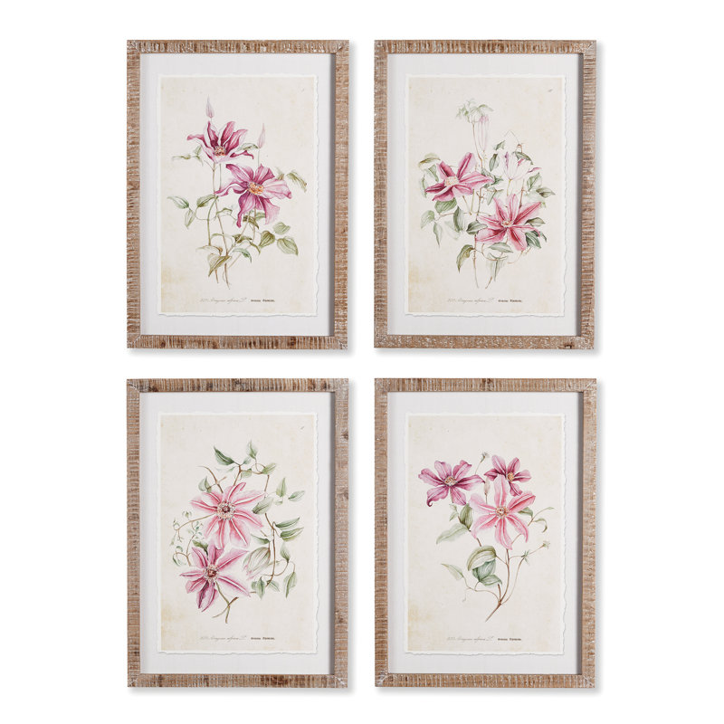 Libourne «Clematis», ensemble de 4 reproductions d'art sur papier encadrées