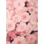 «Pink Flower Field - Office Pink»