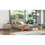 Platform Bed-12597315-49921259