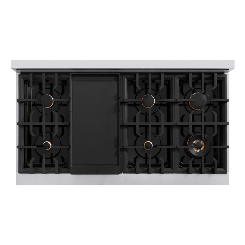 ZLINE Autograph 48" Classic DuraSnow Gas Range w/ 8 Burners & Bronze Accents, Matte Black, Stainless Steel