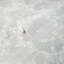 Papier peint en simili-tissu Amritha