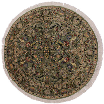 Plattsmouth Wool Oriental Indoor Rug