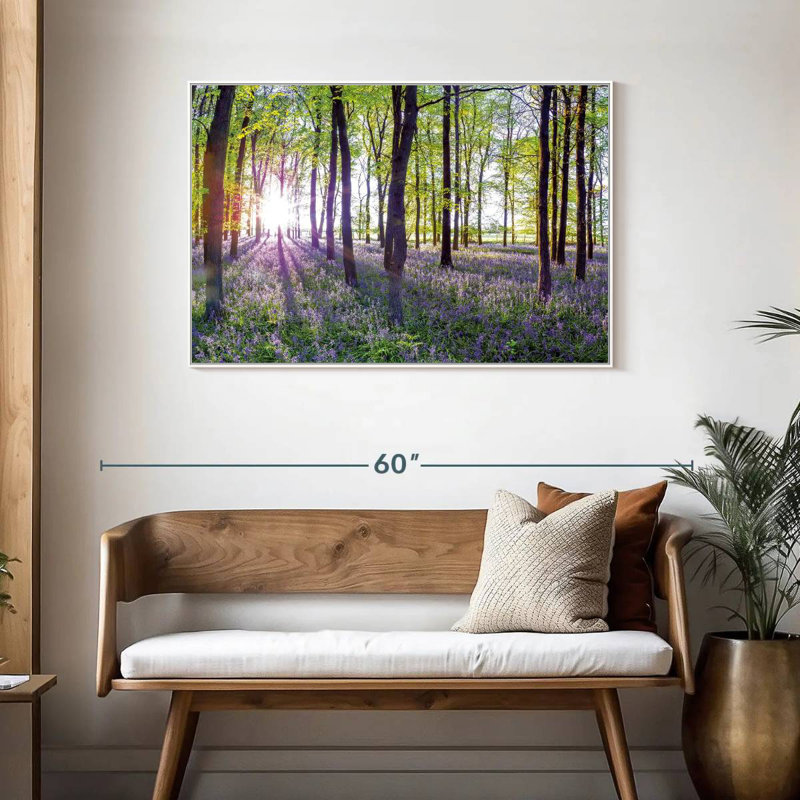 Bluebells and sunrise, Cadre flottant blanc, 43 po x 29 po