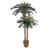 Double Potted Sago Palm Silk Tree