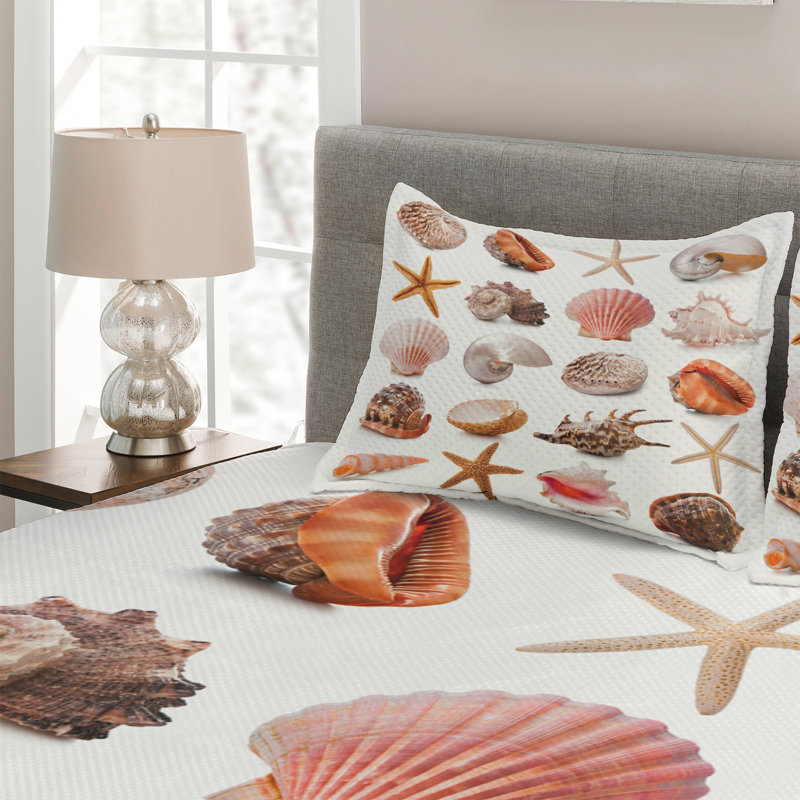 Seashells Coastal Coverlet