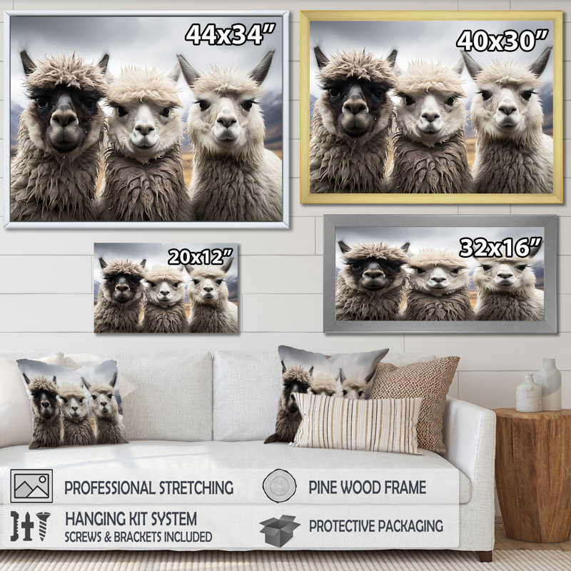 Alpacas, photographie de paysage monochrome encadrée sur toile, Cadre photo noir, H 12 po x l 20 po x P 1 po