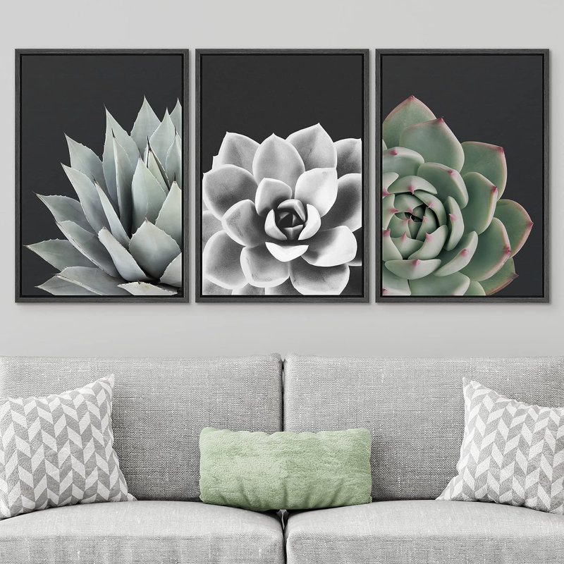 «Black and White Desert Rose Echeveria Succulent Botanical Plants», reproduction encadrée sur toile, 3 pièces, Noir