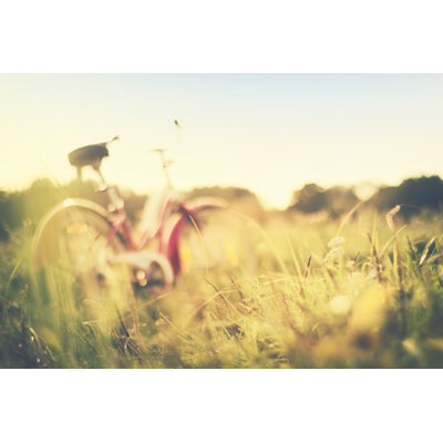 Red Vintage Bicycle by Rike_