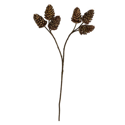 Tiges de pommes de pin