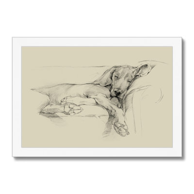 Dog Days I by Ethan Harper - Wrapped Canvas Print