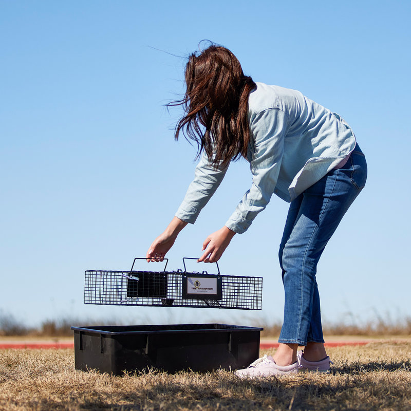 Weather Resistant Rat Cage