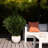Artificial Cedar Bush UV Resistant (Indoor/Outdoor)-2035770209