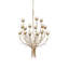 Star Magnolia Chandelier-196524140