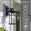 Schlesinger Seeded Glass Outdoor Wall Light-859661422
