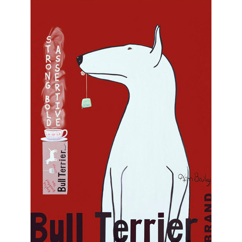 Bull Bull Terrier, H 24 po x l 18 po