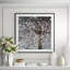 Infrared Cherry Blossoms Framed Photographic Print