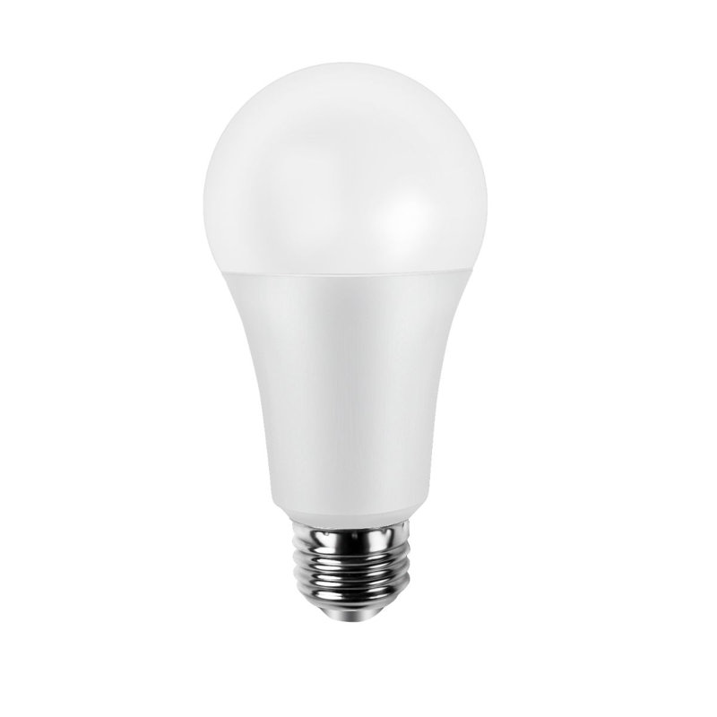 Infibrite A19 WiFi Smart DEL, 8 W 800LM, compatible Alexa / Google / SIRI (paquet de 12), 2.4, 810, 9