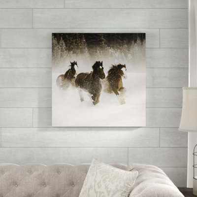 " Winter Roundup II "