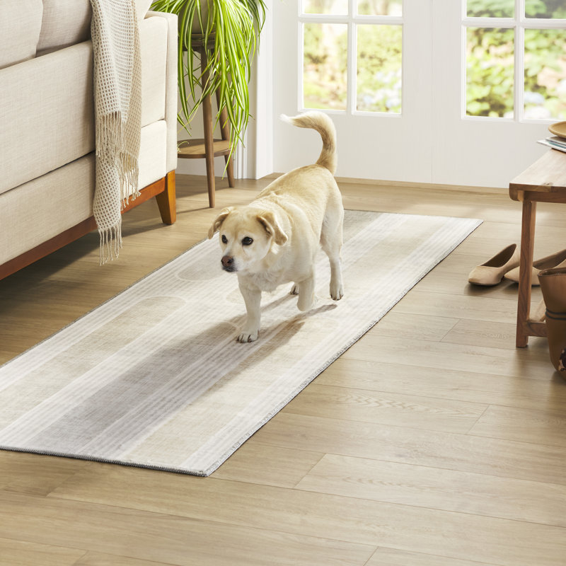 Tapis lavable à la machine avec technologie AirFlo EVERWASH Haven, 2 x 7
