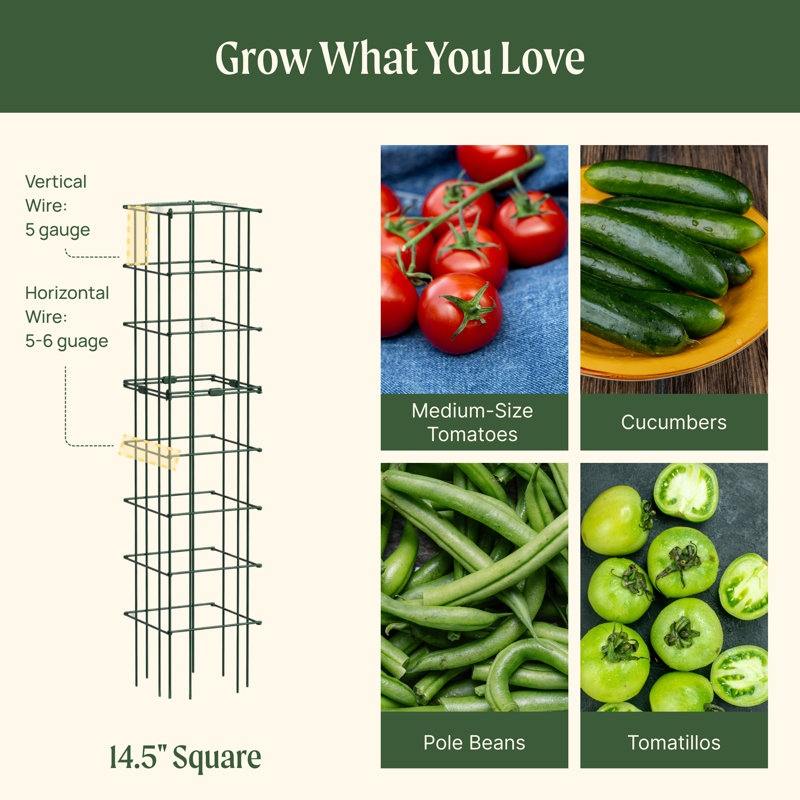 Cage à tomates carrée 14,5 po, 6 cages (ensemble de 3 tours)