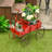 Chasitty Planter-1741917176