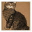 Tapis lavable LaPerm Cats-505411316