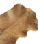 Dugan Wood Decorative Plate