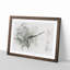 Perched Dragonfly - Framed Print-56851628-56851629