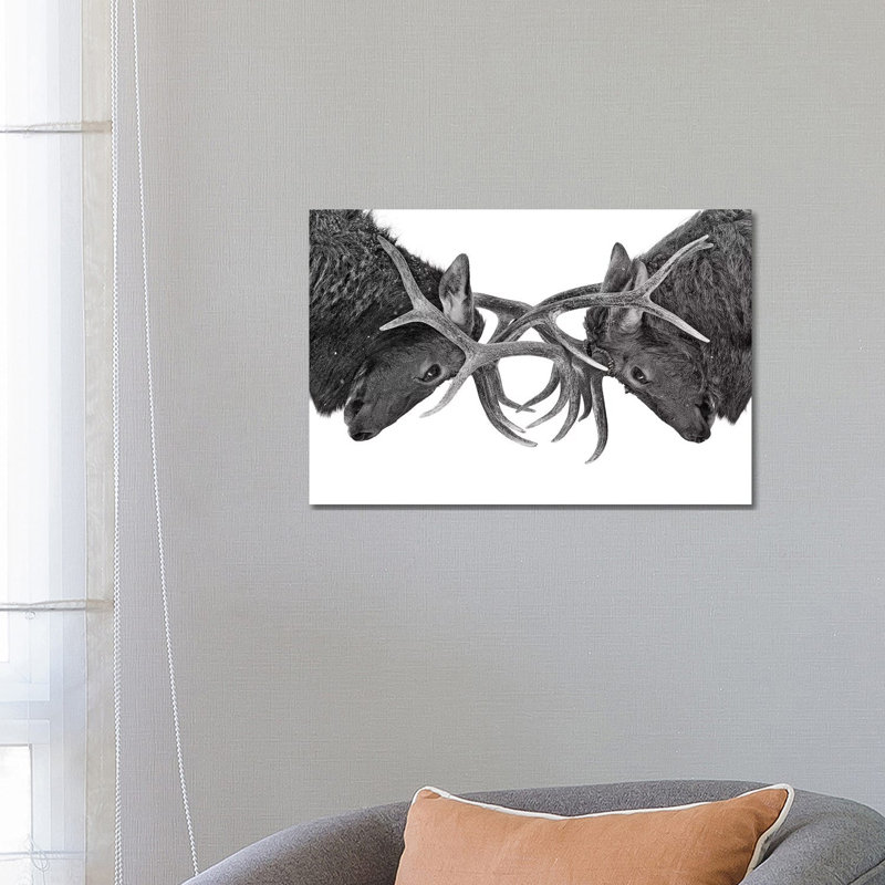 Eye To Eye Elk Fight by Jim Cumming - Print on Canvas, 101.6 cm H x 66.04 cm W x 1.91 cm D, No Framed