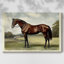 Animaux, paysage, série CCVII-618512956