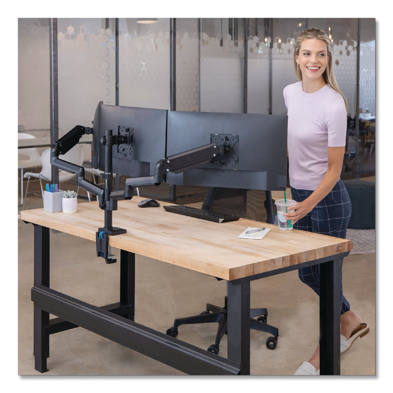 Fellowes® Single Screen Desktop Mount