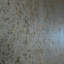 Rouleau de papier peint L 33 pi x l 20,5 po