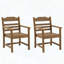 Ensemble de 2 chaises de patio avec accoudoirs, texture imitation grain de bois, toutes saisons, assemblage facile