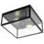 Burns Glass Flush Mount