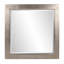 Millennium Solid Wood Beveled Mirror-776654291