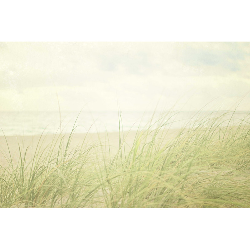 Beach Grass II, H 20 po x l 30 po