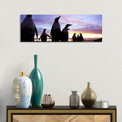 Silhouette Of A Group Of Gentoo Penguins, Falkland Islands (Pygoscelis Papua) by Panoramic Images - Wrapped Canvas Panoramic Print