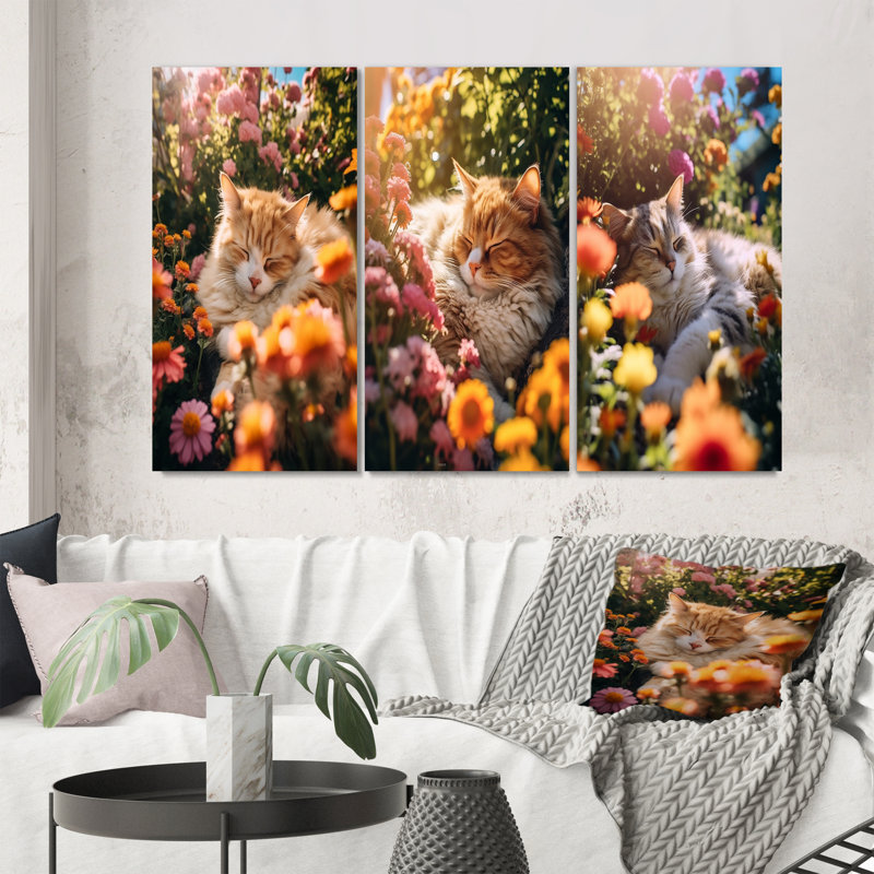 Fluffy Cat Sleeping Sunny Flower Garden I - Animals Cat Art Set Of 3 Pieces, Toile tendue, H 28 po x l 36 po