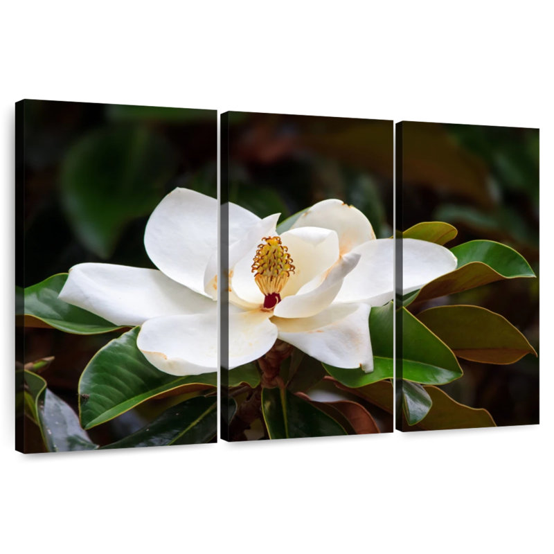 Fleur de magnolia Harnek Southern, H 36 po x l 57 po