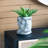 5X5.5X9" Easter Island Cement Planter