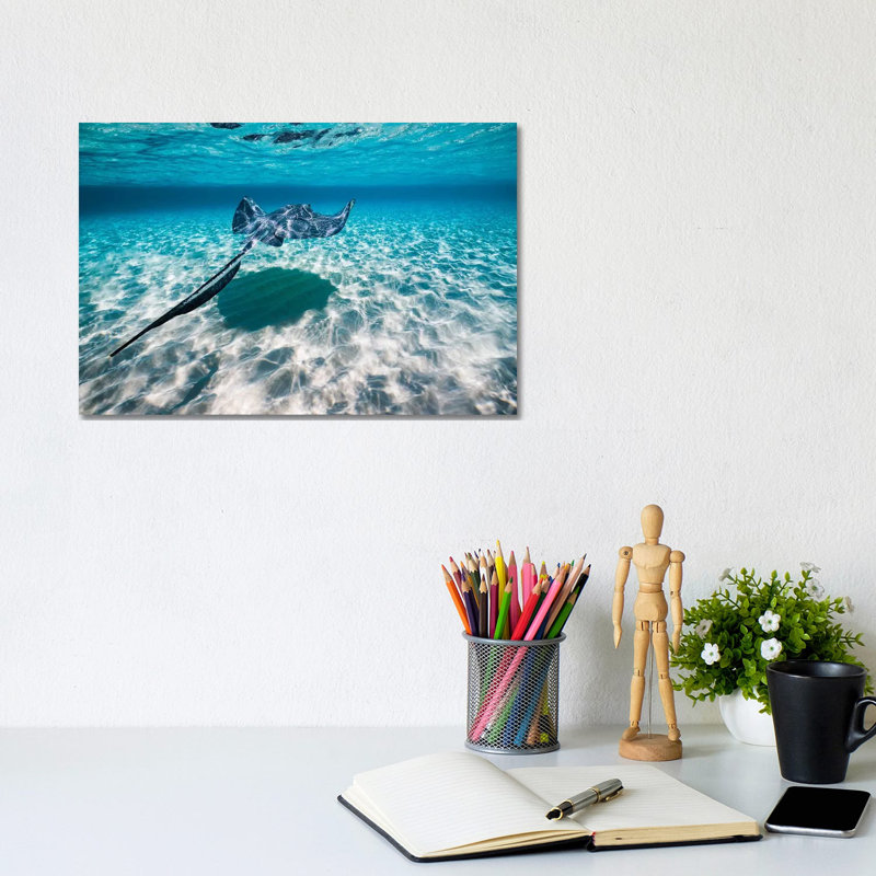 Southern Stingrays On The Sandbar In Grand Cayman, Cayman Islands I by Jennifer Idol - Wrapped Canvas Print