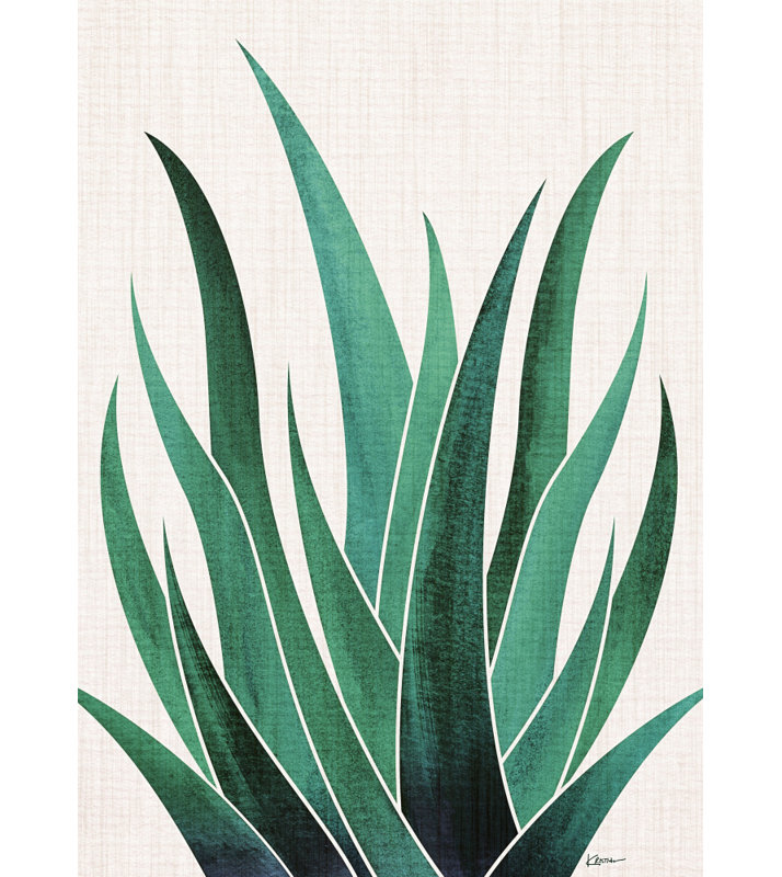 «Desert Agave Cactus», art mural texturé encadré, Noyer, H 14 po x l 10 po