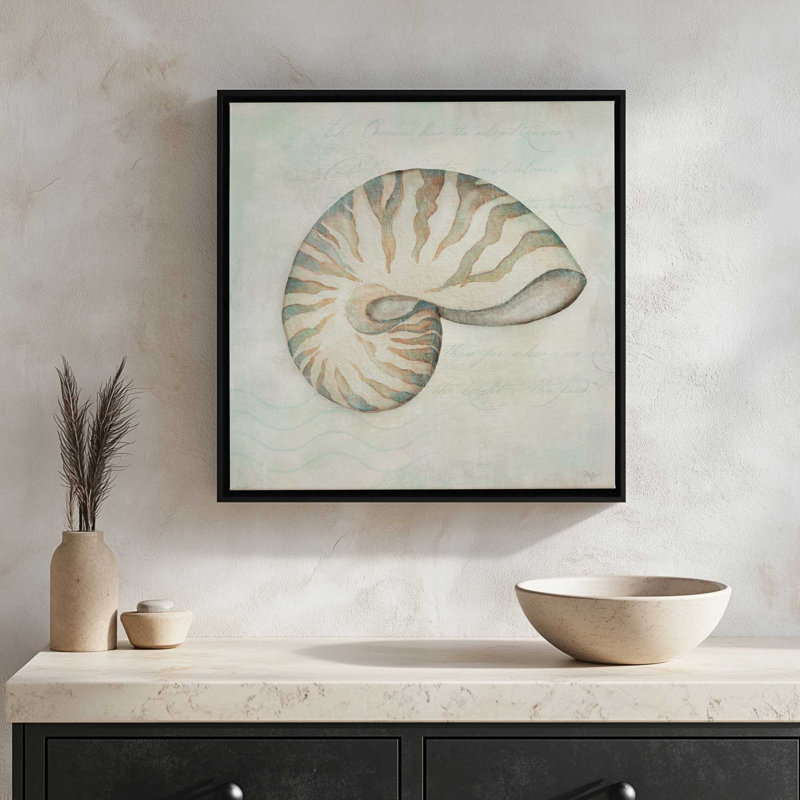Estampe « Coquillages IV » de Mollie B., L 12 po x H 12 po, Brun, Framed Canvas